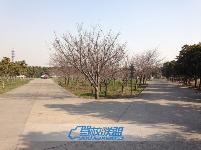 駕校學車基地