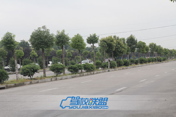 陽(yáng)浦駕校